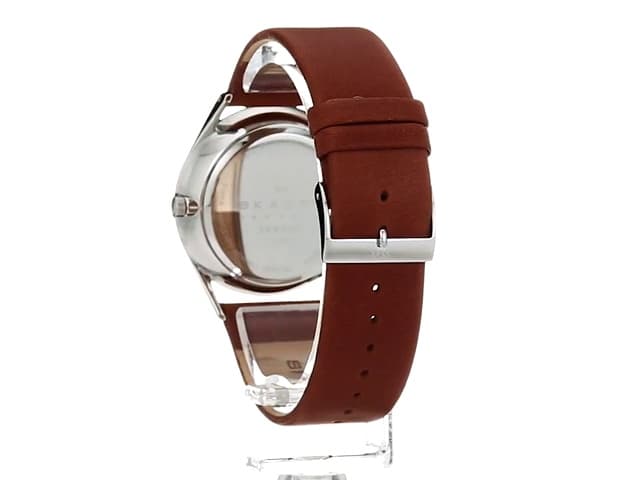 Skagen Holst Men's Watch with Stainless Steel Mesh or Leather Band