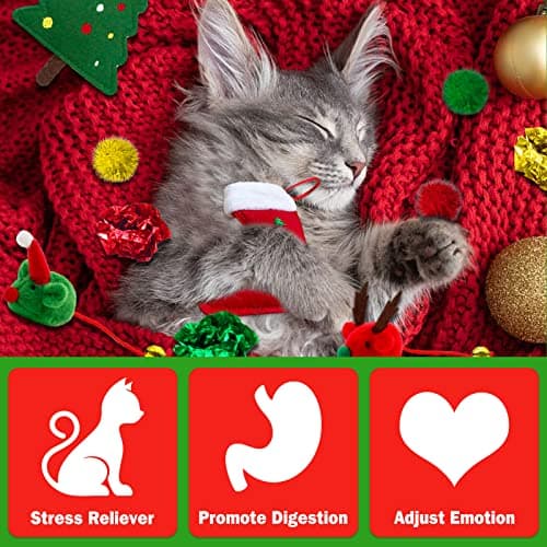 Cat Christmas Stocking, 10 Pack Gifts for Christmas, Interactive Feather Toy with Catnip, Cat Ball Toys, Crinkle Balls, Mice Toys for Indoor Cats & Kitten