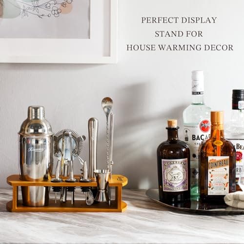 KITESSENSU Cocktail Shaker Set Bartender Kit with Stand | Bar Set Drink Mixer Set with All Essential Accessory Tools: Martini Shaker, Jigger, Strainer, Mixer Spoon, Muddler, Liquor Pourers |Silver B08BYJ8KSR