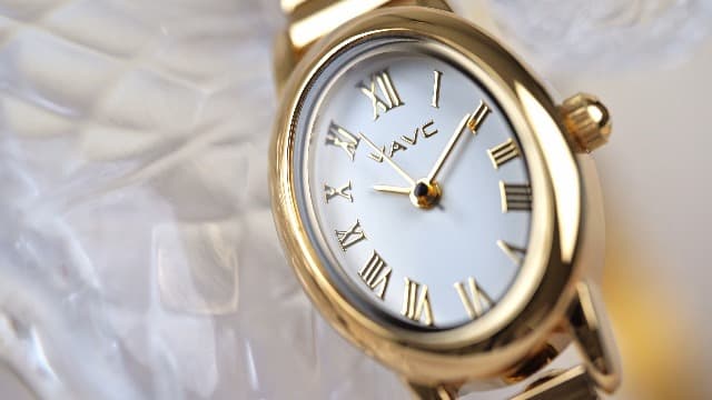 VAVC Small Gold Watches for Women,Analog Womens Watch with Stainless Steel Expansion Band,Oval Case Roman Dial,Water Resistant