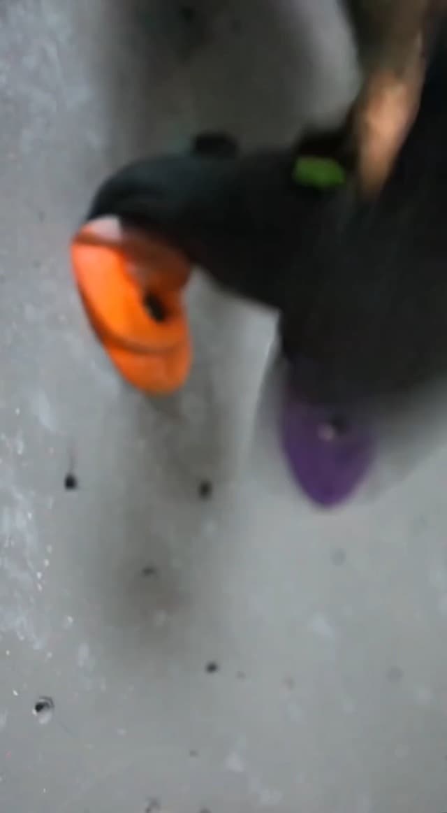 SoleEase Entry-Level All-Around Men & Women Climbing Shoes for Gym and Sport Climbing