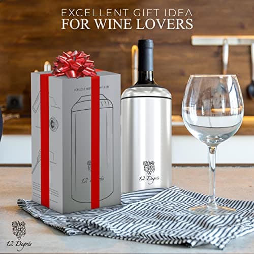 Wine Chiller Set - Perfect Wine Gifts for Women & Men - Stainless Steel Insulated Wine Cooler with Wine Pump, Aerator & 4 Stoppers (Silver)