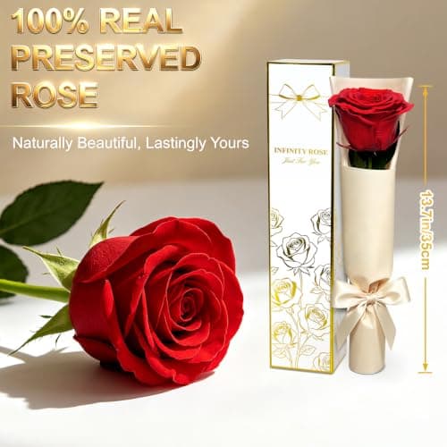 Preserved Rose Flowers for Delivery, Single Red Forever Roses Real Flower Gifts for Women Mom, Mother's Day Wife Anniversary Wedding Graduation Christmas Valentine's Day Rose Gifts for Her Girlfriend B0HBVTMNM1