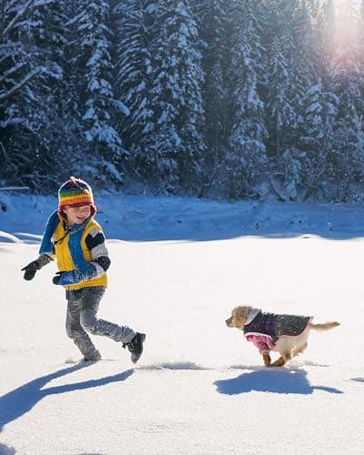 Winter Dog Boots & Paw Protectors: Outdoor Anti-Slip Dog Snow Shoes, Dog Booties Provide Warmth to Dogs Paws from Ice and Snow, Rubber Sole PU Leather Faux Fleece-Lined, Dark Brown Dog Shoes Size 7