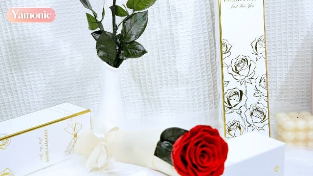 Preserved Rose Flowers for Delivery, Single Red Forever Roses Real Flower Gifts for Women Mom, Mother's Day Wife Anniversary Wedding Graduation Christmas Valentine's Day Rose Gifts for Her Girlfriend B0HBVTMNM1