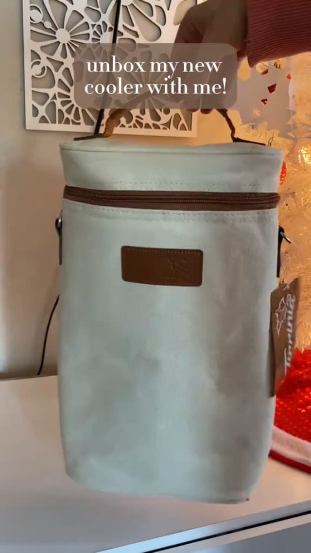 Tirrinia 2 Bottle Wine Gift Tote Carrier - Leakproof & Insulated Padded Versatile Wine Cooler Bag for Travel, BYOB Restaurant, Wine Tasting, Party, Dinner,Gift for Wine Lovers,Grey