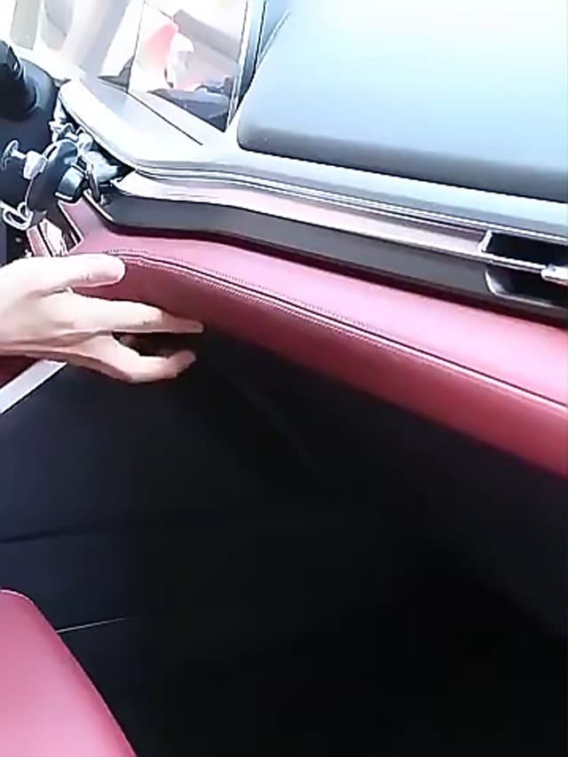 Bug Vacuum Catcher, Spider and Insect Catcher Traps, Rechargeable Bug Catcher Grabber with Brush Head & Charging Cable & Multifunctional Suction Nozzle for Stink Bug Moth Cockroach Spider Ant Black