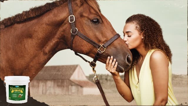 Farnam Leather New Deep-Cleaning Conditioner and Restorer for Saddles and Leather, 32 Ounces