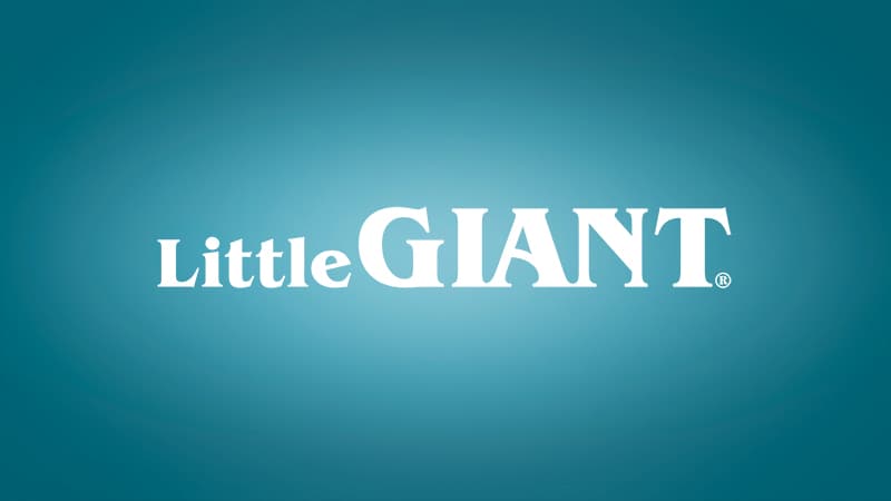 Little Giant Select Series LG-APCP1700 1/3 HP, 1745 GPH, Automatic, Submersible, Swimming Pool Cover Pump with 25-Ft. Cord, Dark Blue, 14942691