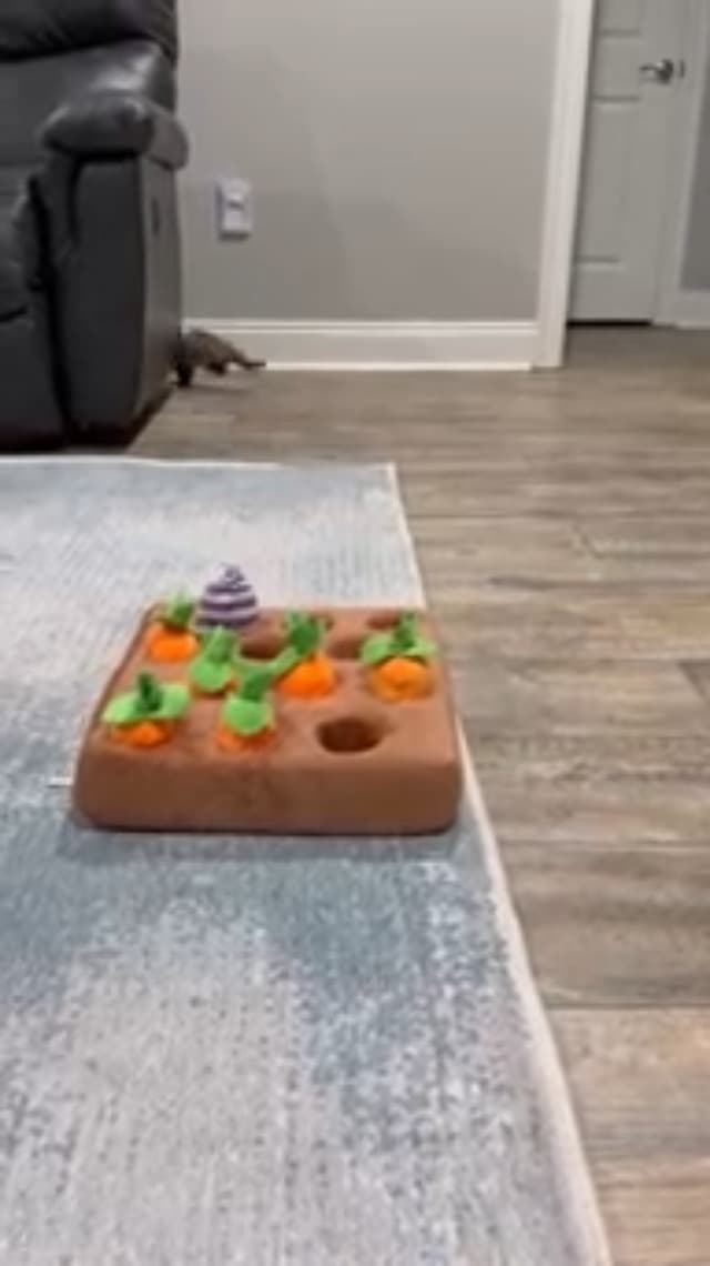 Ferret Foraging Toys Novelty Carrot Snuffle Mat Interactive Pet Treat Enrichment Toys for Small Animals Bunny Rabbit Chinchilla Guinea Pig Hamster (12Carrot)
