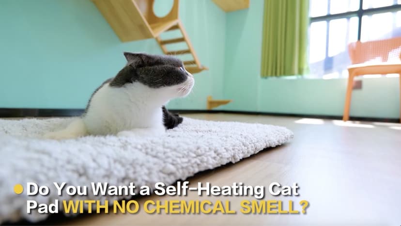 Self Warming Cat Bed Self Heating Cat Dog Mat 24 x 18 inch Extra Warm Thermal Pet Pad for Indoor Outdoor Pets with Removable Cover Non-Slip Bottom Washable Non Electric