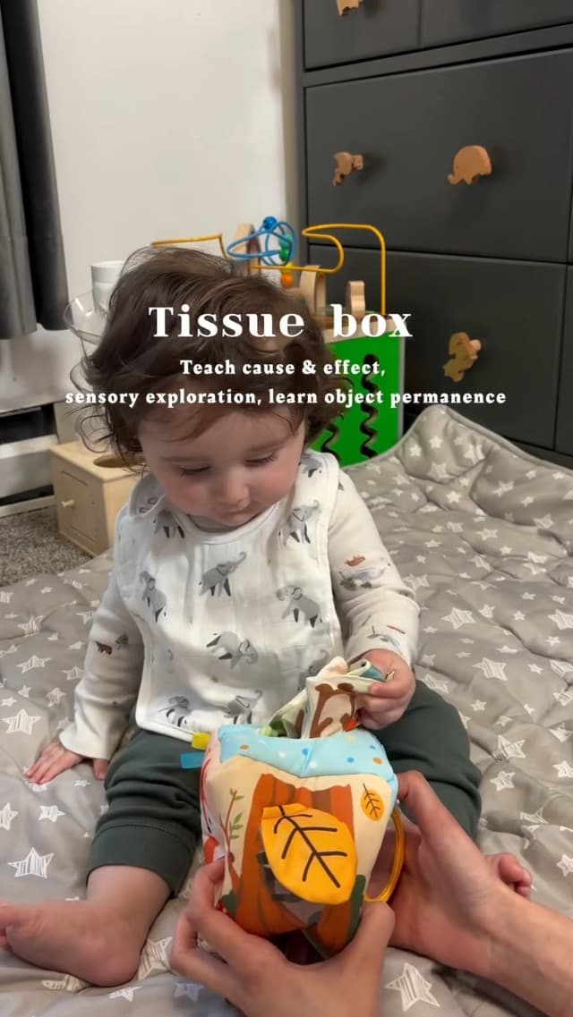 Sensory Pulling Play Scarf Soft Box, Crinkle, Mirror, Tag Babies Gifts Christmas Stocking Stuffers 1 Year Old Birthday Gift hahaland Baby Tissue Box Toy - 6 Month Old Montessori Baby Toys 6-12 Months B0CJLWD1VM