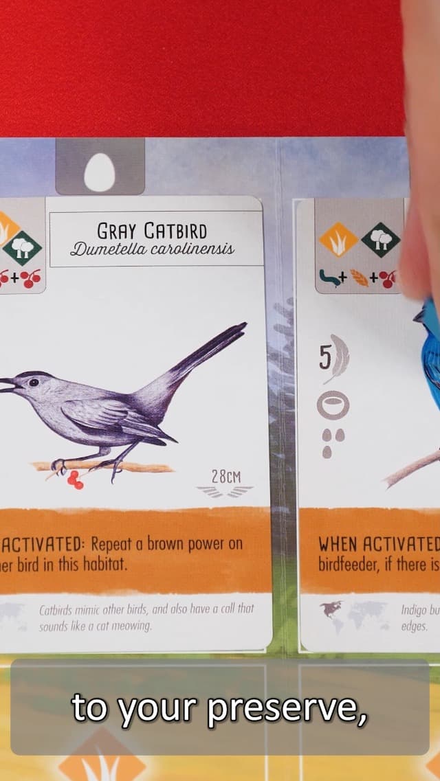 Stonemaier Games: Wingspan (Base Game) by Elizabeth Hargrave | A Relaxing, Award-Winning Strategy Board Game About Collecting Birds for Adults and Family | 1-5 Players, 70 Mins