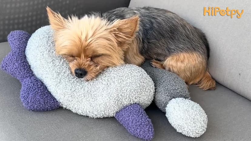 for Better Sleep, Reduces Anxiety, Gift for Small/Medium/Large Dogs and Cats HiPetpy Dog Calming Pillow-Soft Neck Pillow for Dogs, Washable Sleep Pillow B0DSW42LFY