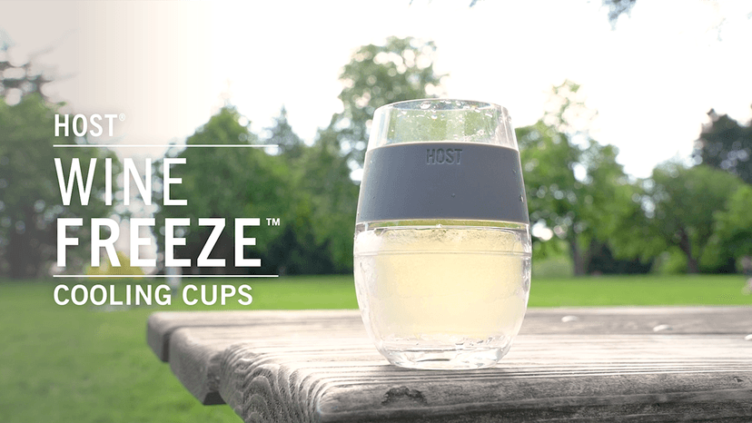 HOST Freeze Wine Glasses with Lids, Insulated Cooling Cups with Freezing Gel, Wine Tumbler Gifts for Women, Freezable Tumblers for Cocktails, Outdoor Party, and Home Bar Gifts, 8.5 oz Set of 2, Gray