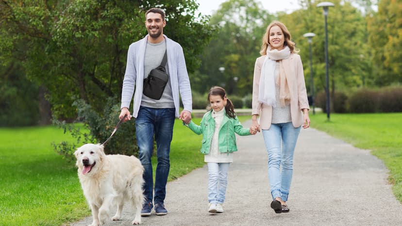 higouta Mini Sling Bag for Men Women, Small Crossbody Casual Utility Chest Phone Bag for Travel Workout