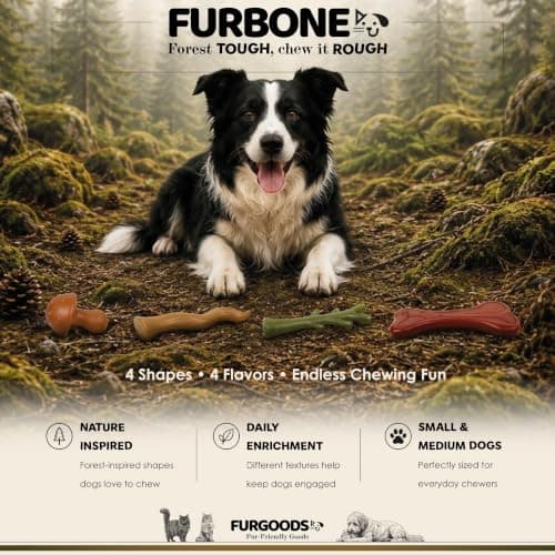 4 shapes and flavors: peanut butter, lamb, chicken, beef; long lasting chews for puppies and adult dogs, gift ready box FURBONE Flavored Nylon Dog Chew Toys 4 Pack, Bones for Small & Medium Dogs B0FQC6RNZM