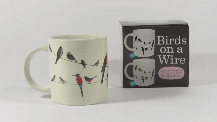 The Unemployed Philosophers Guild Birds on a Wire Heat Changing Mug - Add Coffee and Colorful Birds Appear, Comes in a Fun Box