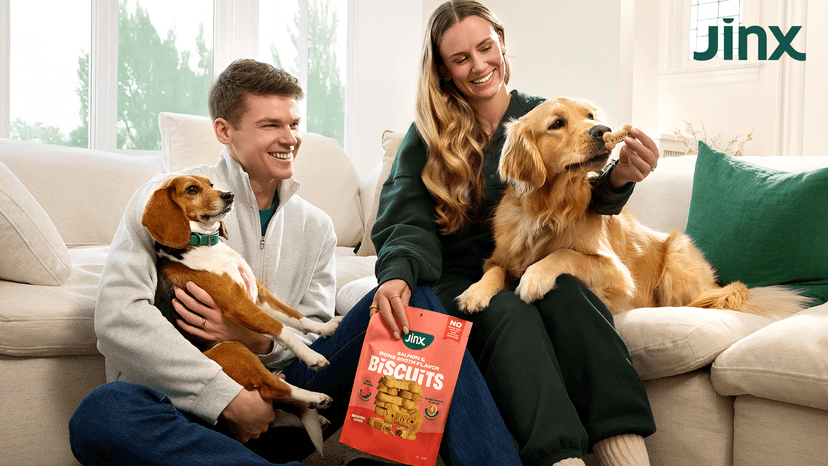 1 Pack Healthy Dog Treats Training with Real Beef & Fiber Rich Banana - Stocking Stuffer Gifts - Puppies, Adults & Seniors Jinx Holiday Dog Training Treats, Beef & Banana, Christmas Dog Treats, 4oz B0HCF87YPN