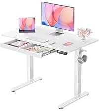 ErGear Height Adjustable Electric Standing Desk, 48 x 24 Inches Sit Stand up Desk, Memory Computer Home Office Desk, Black