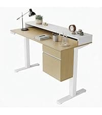 ErGear Height Adjustable Electric Standing Desk, 48 x 24 Inches Sit Stand up Desk, Memory Computer Home Office Desk, Black