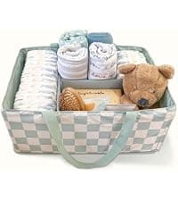 Tiny Twinkle Portable Diaper Changing Pad | Waterproof, Wipeable & Compact Baby Changing Pad for Travel | Smart Wipes Pocket & Organized Storage| Newborn Shower Gift (Sage Checkers) B0DDT2VW7T