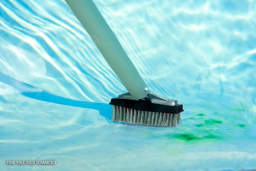 Poolmaster 20178 5-Inch Aluminum-Back Swimming Pool Algae Brush with Stainless Steel Bristles, Classic Collection