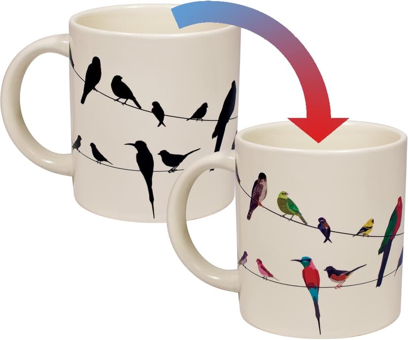 The Unemployed Philosophers Guild Birds on a Wire Heat Changing Mug - Add Coffee and Colorful Birds Appear, Comes in a Fun Box