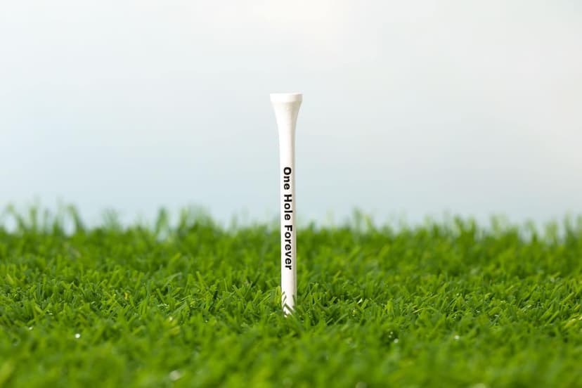 Seymour Butz Funny Golf Tees - 30 Pack Novelty Tees - Perfect for Bachelor Party Golf Trip, Golf Gifts for Men, Golf Gift for Groom