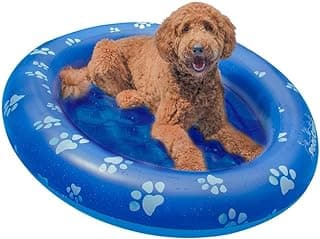 PoolCandy Inflatable Dog Pool Float – Large Pet Raft for Dogs up to 100 lbs, Heavy-Duty PVC, Comfortable Inflatable Floor, 54" x 40" Paw Print Design