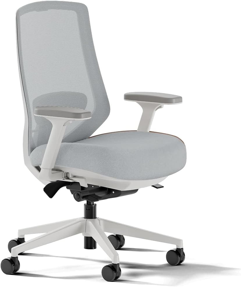 Branch Ergonomic Chair Pro - Mesh Office Chair with 14 Points of Adjustment - Height, Depth & Tilt Adjustable - 5D Armrests - Forward Tilt, Smooth Recline, and Lumbar Support - Mineral