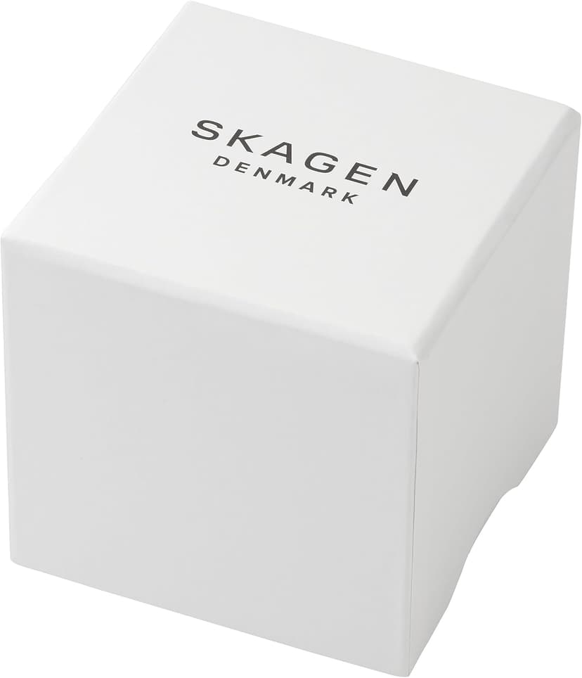 Skagen Holst Men's Watch with Stainless Steel Mesh or Leather Band