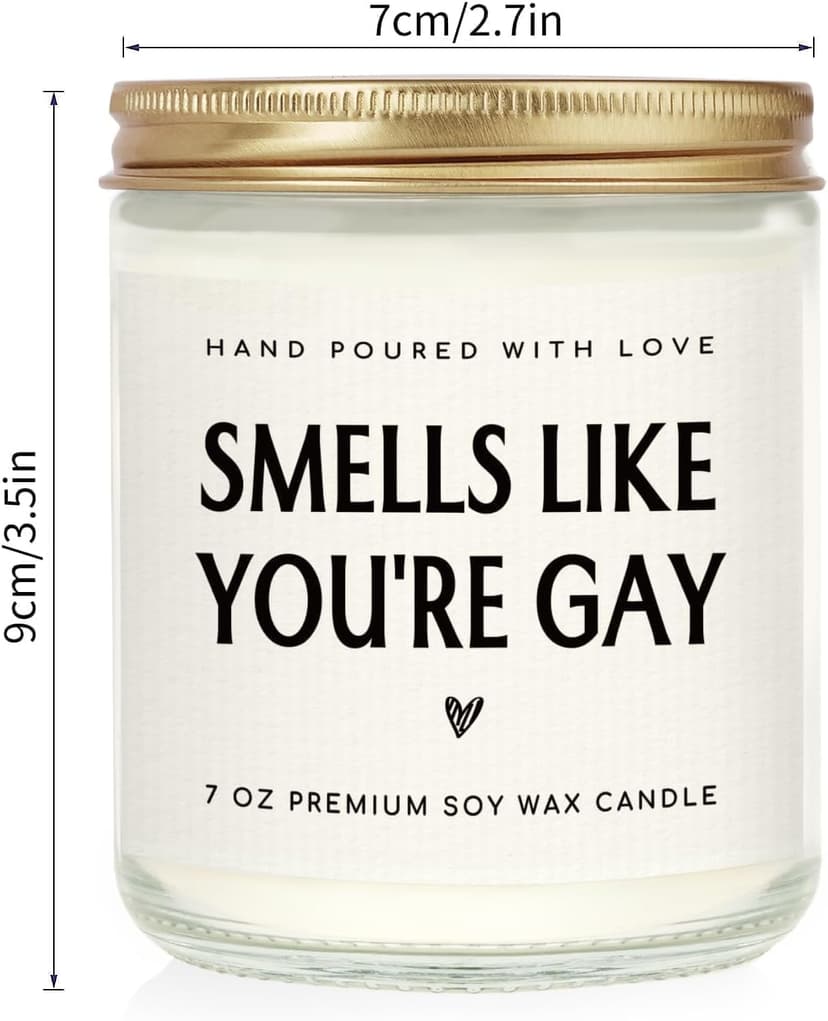 Smells like You’re Gay Candle, Gag Gifts for Friend Boyfriend Men, Funny Birthday Handmade Lavender Gay Candle Gifts 7oz SteadStyle Pride Mouth Gay Gifts, Pride Gifts for Brother Lesbian LGBT B0DR7VFTM4