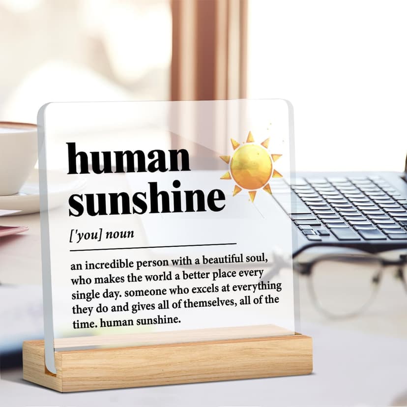 Human Sunshine Motivational Gift for Women Men, Employee Appreciation, Coworker Leader Teacher Coach Mentor, Definition Acrylic Desk Sign Decor