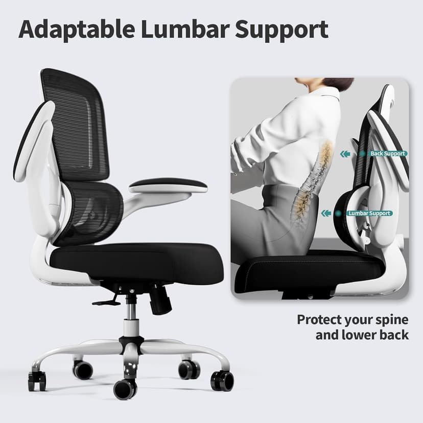 TRALT Office Chair - Ergonomic Desk Chair with Adjustable Lumbar Support, Mesh Computer Chair, Executive Chairs for Home Office Comfortable Lumbar Support (White+Black)