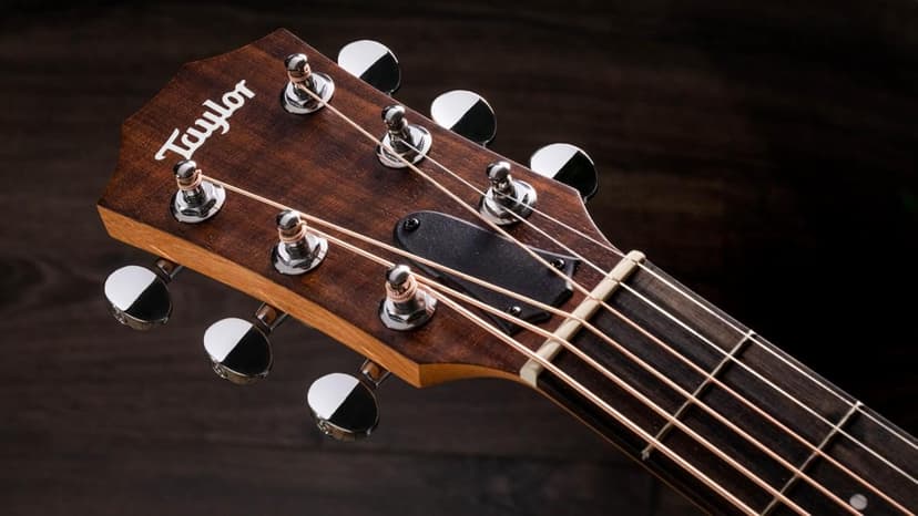 Taylor GS Mini-e Solid Koa Top ESB w/Gig Bag with case