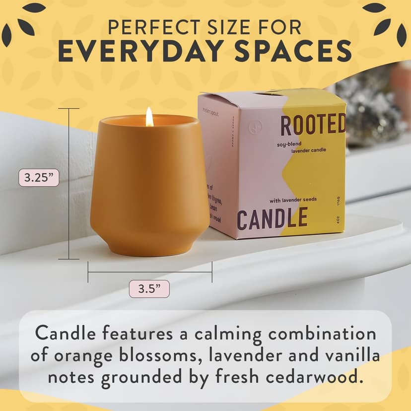 Modern Sprout Rooted Candle - 2 in 1 Cedarwood Scented & Soy Candle with Seeds That Grows into Lavender Plant - 6 oz w/ 42 hr Burn time in Matte Glaze Ceramic Vessel Ideal for Indoor Herb Garden