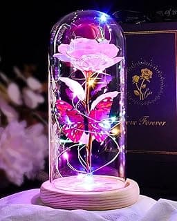 Beferr Christmas Rose Gifts for Women Mom Birthday Gifts, Galaxy Glass Rose Forever Preserved Flowers for Delivery Prime Light Up Rose in Glass Dome with Butterfly Xmas Gifts for Grandma Her Wife