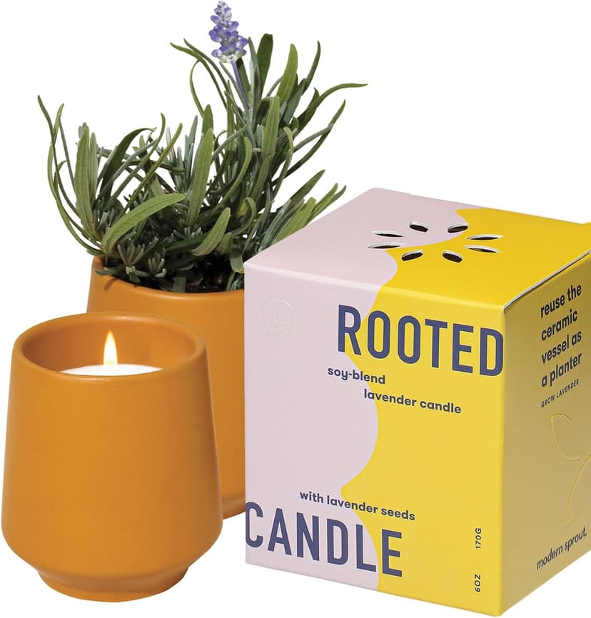 Modern Sprout Rooted Candle - 2 in 1 Cedarwood Scented & Soy Candle with Seeds That Grows into Lavender Plant - 6 oz w/ 42 hr Burn time in Matte Glaze Ceramic Vessel Ideal for Indoor Herb Garden
