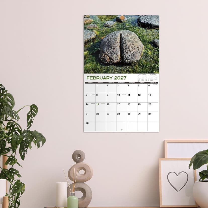 Gag Gifts - White Elephant Gag Gifts Calendar 2027, Nature Butts Calendar 2027 from January to December, 11'' x 8.5'', Gag Gift for White Elephant B0D9GBGSMZ