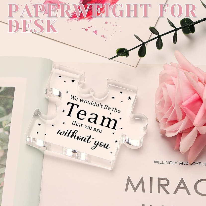 Employee Appreciation Gifts, Boss Day Farewell Retirement Appreciation Gifts for Boss Lady Staff Leader Manager Office Decor Funnli Bosses Day Gifts for Women, Boss Gifts for Women Men Acrylic Plaque B0CYZXF2FN