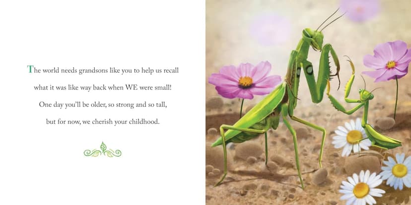 Why We Need Grandsons: Celebrate Your Special Grandson Grandparent Bond with This Heartwarming Picture Book! (Always in My Heart)