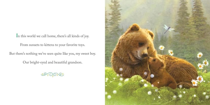Why We Need Grandsons: Celebrate Your Special Grandson Grandparent Bond with This Heartwarming Picture Book! (Always in My Heart)
