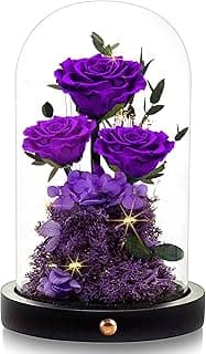 Christmas Flowers Roses Gifts for Mom,Forever Real Preserved Roses in Glass Dome,Christmas Anniversary Thanksgiving Gifts for Wife Girlfriend Women Best Friend Grandma/Purple Rose