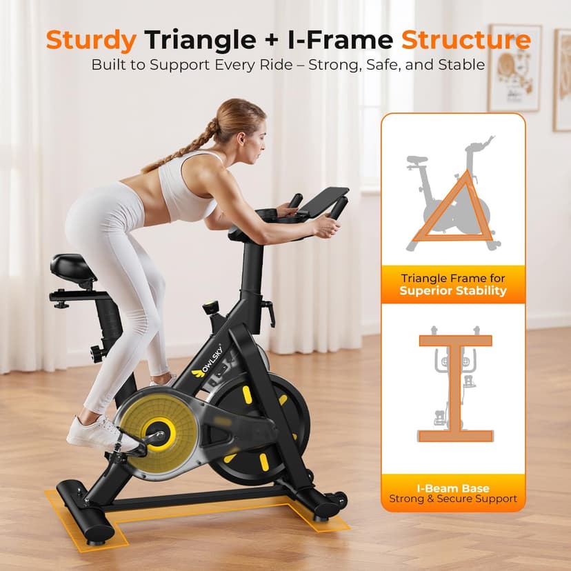 OWLSKY Exercise Bike with APP, Magnetic Resistance Indoor Cycling Bike, 300 lbs Capacity Quiet Stationary Bike for Home Gym Cardio Workout