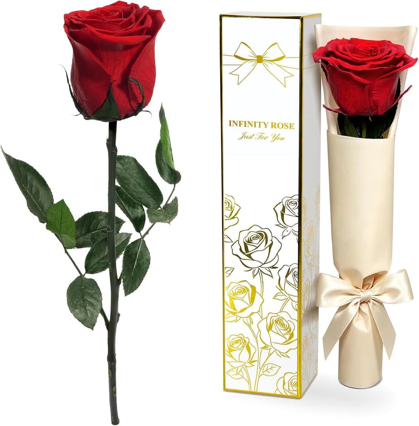 Preserved Rose Flowers for Delivery, Single Red Forever Roses Real Flower Gifts for Women Mom, Mother's Day Wife Anniversary Wedding Graduation Christmas Valentine's Day Rose Gifts for Her Girlfriend B0HBVTMNM1