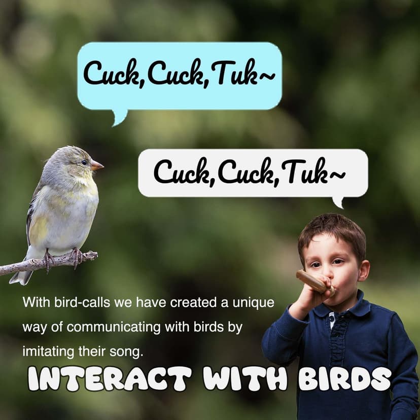 ZDH 9-Piece Wooden Bird Call Set – Handcrafted Bird-Call in Acrylic Wooden Box for Birdwatchers, Nature Lovers, Outdoor Exploration & Education All