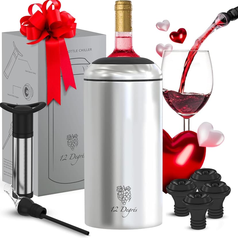 Wine Chiller Set - Perfect Wine Gifts for Women & Men - Stainless Steel Insulated Wine Cooler with Wine Pump, Aerator & 4 Stoppers (Silver)