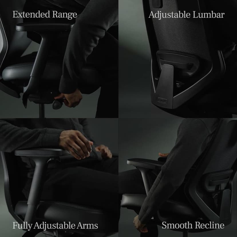 Branch Ergonomic Chair Pro - Mesh Office Chair with 14 Points of Adjustment - Height, Depth & Tilt Adjustable - 5D Armrests - Forward Tilt, Smooth Recline, and Lumbar Support - Black