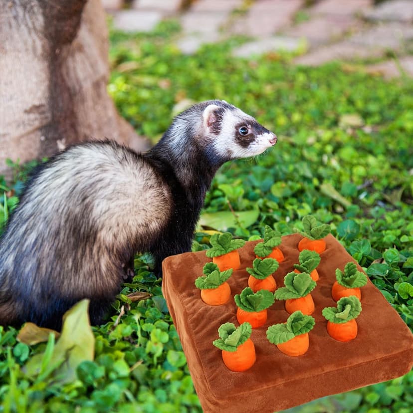 Ferret Foraging Toys Novelty Carrot Snuffle Mat Interactive Pet Treat Enrichment Toys for Small Animals Bunny Rabbit Chinchilla Guinea Pig Hamster (12Carrot)